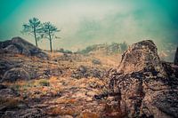 Serra da Estrela Portugal 3
