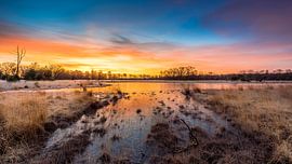 Winterse zonsopkomst in de Klotterpeel van Harold van den Hurk