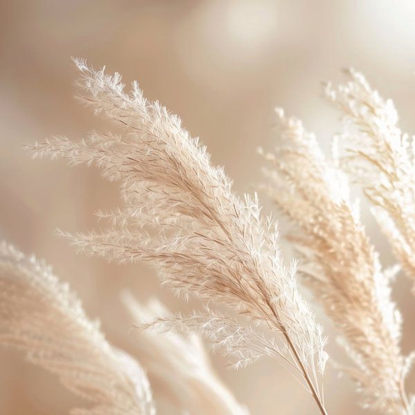 Pampagras, beige tinten, kunst, woonkamer, natuur, eenvoudige elegantie, details, rustgevend, harmonieus, vredig, decoratie, tijdloos van Poster Art Shop