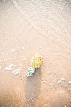 Photographie de voyage - photo tropicale - ananas - fruit d'été sur Robin Polderman