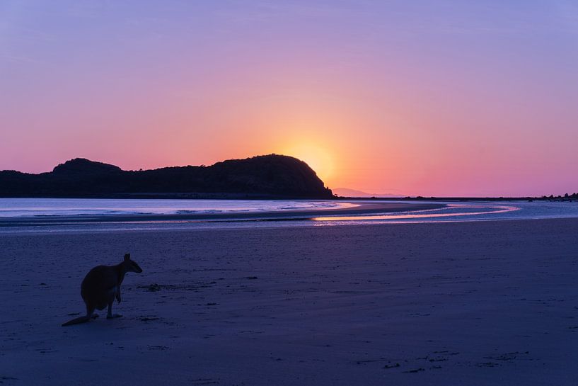 Cape Hillsborough Australia by Yvonne de Bondt