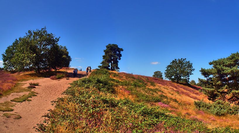 Haltern Westruper Heath par Edgar Schermaul