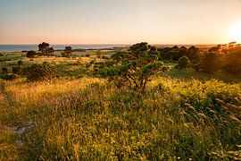 Île de Mön Danemark . Coucher de soleil à Aborrebjerg