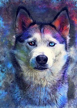 Hond 7 Husky animals art #dog #dogs