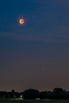 Bloedmaan en Mars van Joost Potma