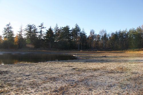 Landschap bij t keelven in someren