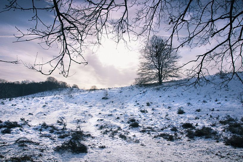 Winterlandscape 1 by Martijn van Huffelen