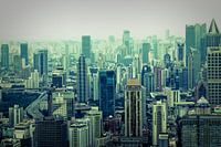 City Jungle
