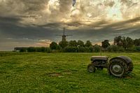 Country life