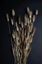 A bunch of dried flowers by Jim Plaum