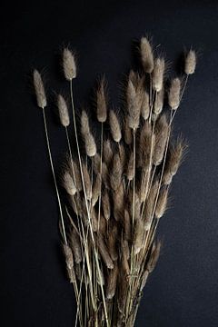 Een bosje droogbloemen