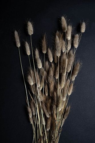 Ein Strauß getrockneter Blumen