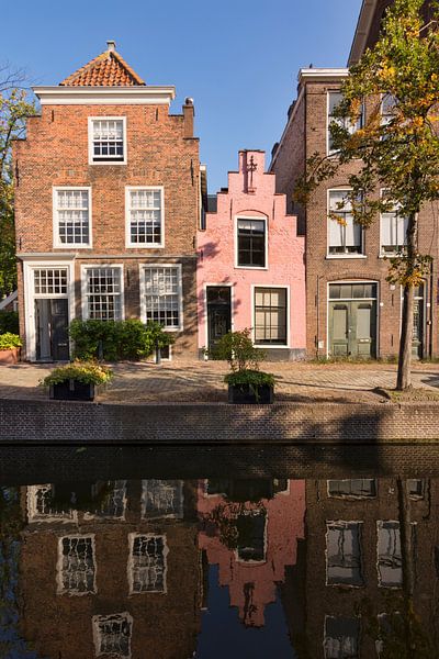 Rosa Haus in Leiden von Charlene van Koesveld