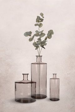 Vases en verre dans des tons gris-brun transparents