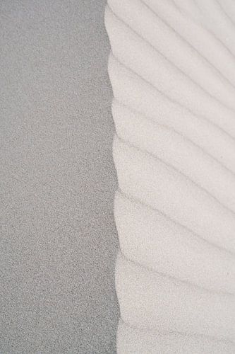 Abstract Sand Texture Closeup of Sand Wrinkles