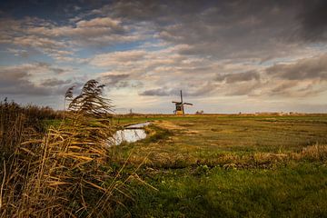Pittoresk Hollands Landschap van Viocida