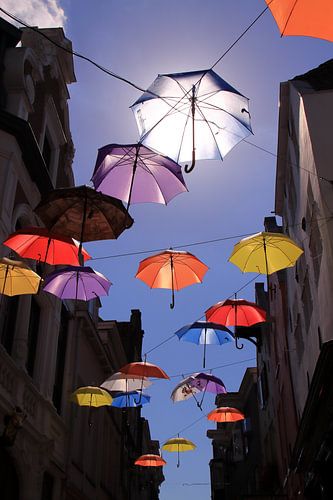 Umbrellas in the air