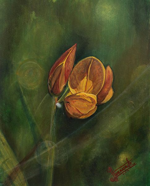 Wilde veldbloemen van Henk Goossens