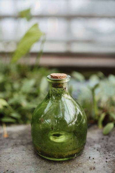 Glass pot | Moody photography by Leathitia Zegwaard