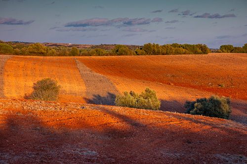 Een landschap met Rode aarde met schaduwen door de laagstaande zon,