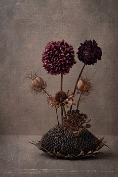 dried flowers