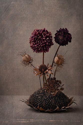 Trockenblumen von Carolien van Schie