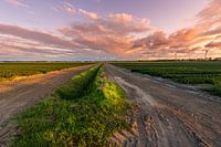 Noordoostpolder in the last light