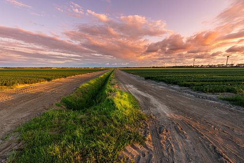 Noordoostpolder in het laatste licht