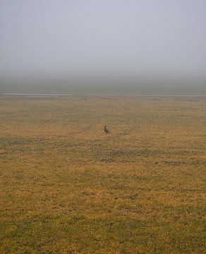 Dans le silence du matin sur Eric Hammer