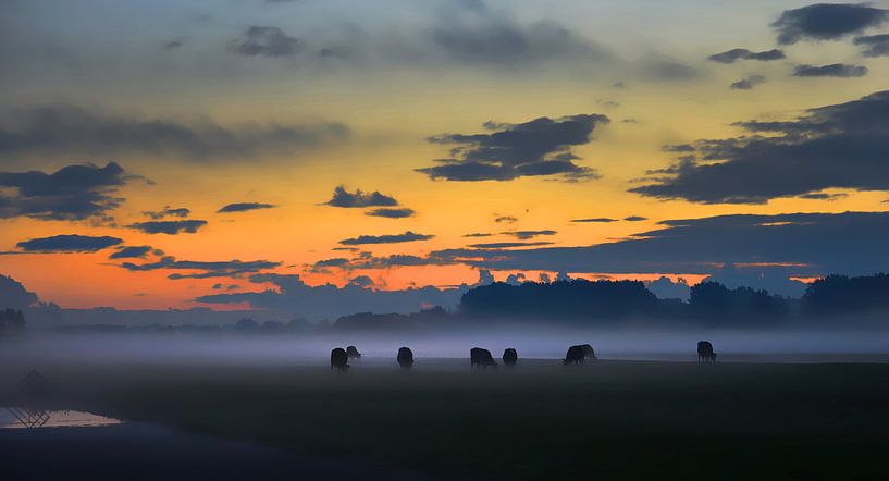 Koeien in de mist - Aarlanderveen, Nederland von Wim Goedhart