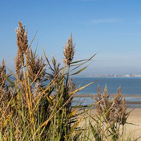 Uitzicht over de zee met de Skyline van Vlissingen op de achtergrond van Nicolette Suijkerbuijk