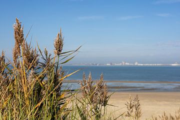 Uitzicht over de zee met de Skyline van Vlissingen op de achtergrond van Nicolette Suijkerbuijk