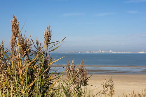 Uitzicht over de zee met de Skyline van Vlissingen op de achtergrond