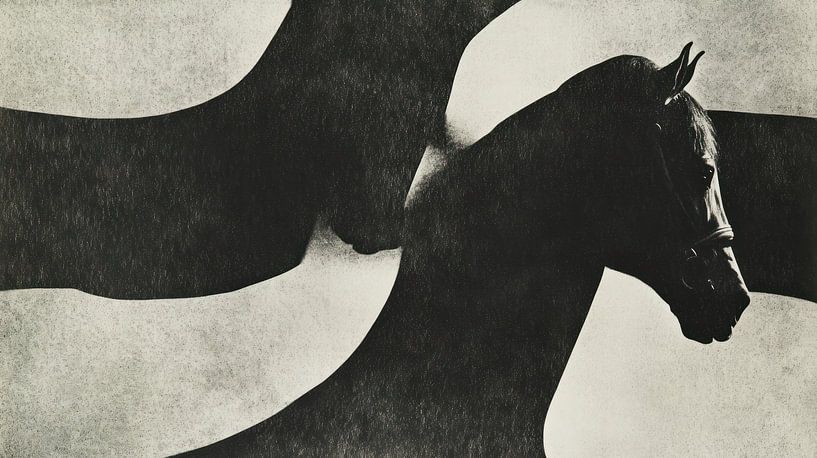 Cheval en noir et blanc par Franka Poulain
