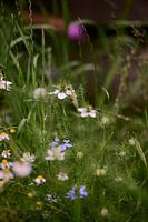 La petite fille en vert