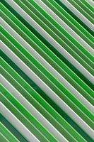 Parallelität grüner Geraden III