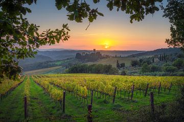 Wijngaarden bij zonsondergang en de abdij van Badia a Passignano in de C van Stefano Orazzini
