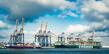 Containerschepen bij de containerterminal in de haven van Rotterdam