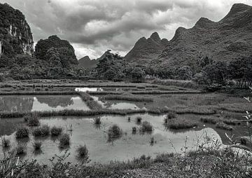 Rice field in karst mountains, South China by Han van der Staaij