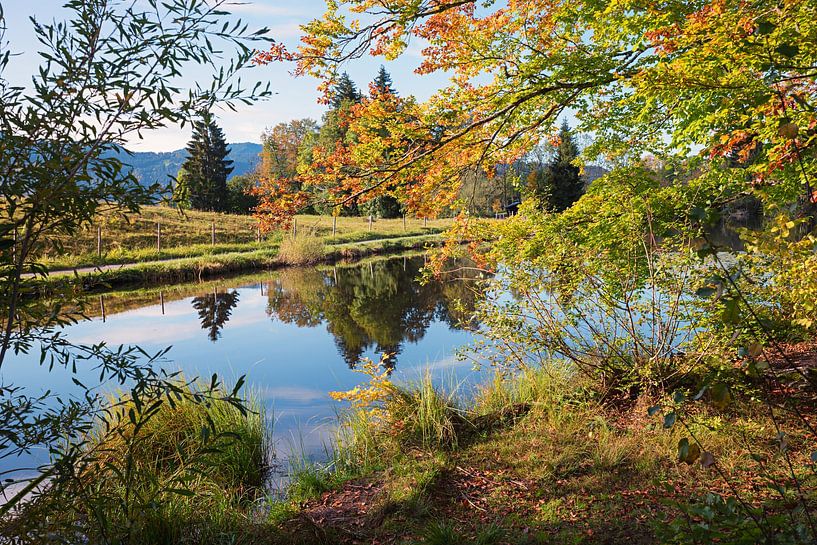 Paysage automnal de l'étang de la tourbière près d'Oberstdorf par SusaZoom