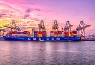 Containership lossen van Rene Siebring thumbnail