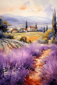 Lavender in the Provance