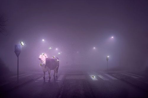 Heilige Koe op Zebrapad: Mystieke Fotomanipulatie in een Mistige Wereld