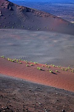 Vulkanlandschaft auf Lanzarote von Anja B. Schäfer