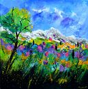 Provence 779121 von pol ledent Miniaturansicht