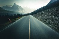 Canada Highway van Jip van Bodegom thumbnail