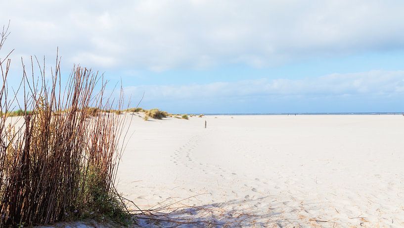 Der weiße Strand von Schiermonnikoog Niederlande von R Smallenbroek