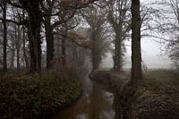 Rivier