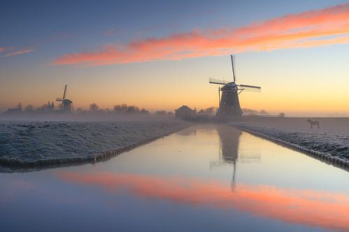 Molens in het landschap van Maasland. van delkimdave Van Haren