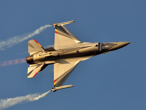 F-16 fighter jet by Rogier Vermeulen